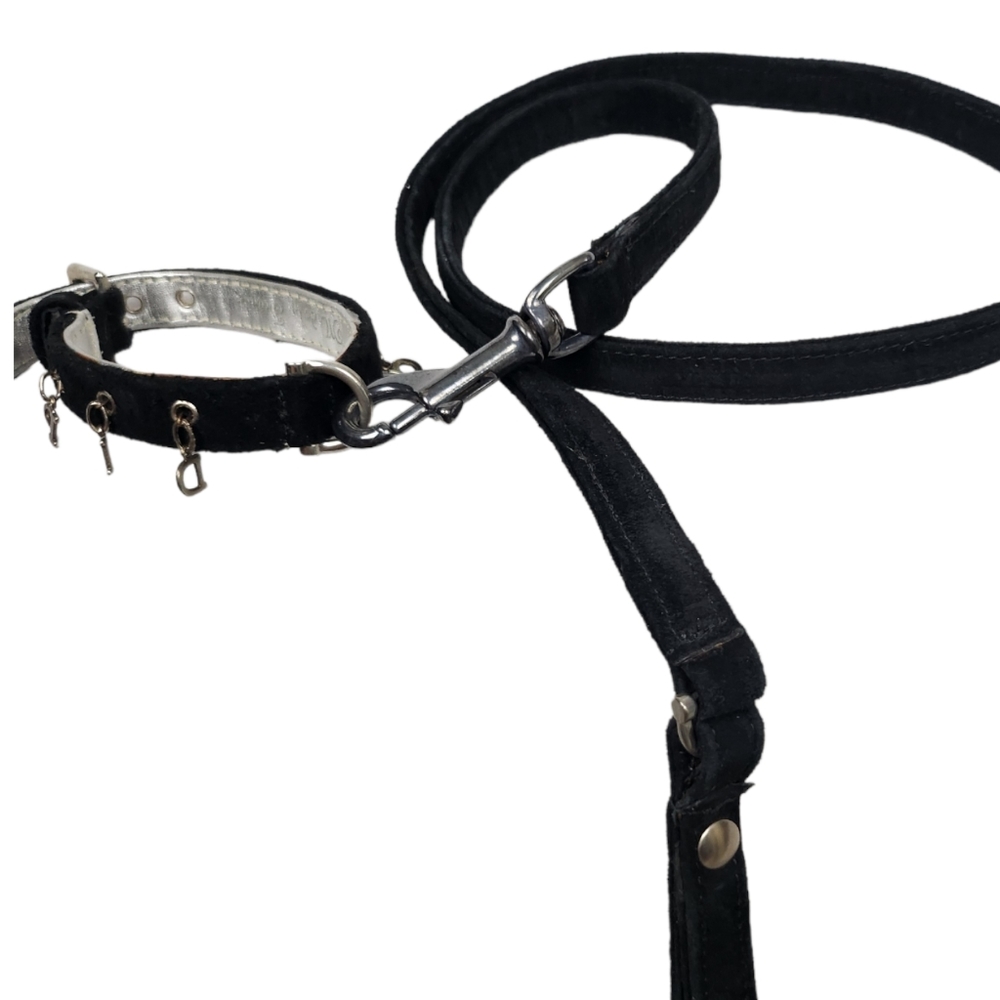 Black Suede Dog Collar With BIG DIP Spelled Out in Silver Tone Letters.